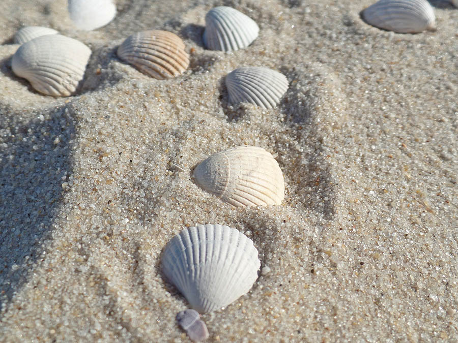 Buchführung Service in Westerland - Büro-Service-Sylt UG